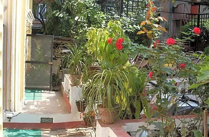 Hotel Boutique